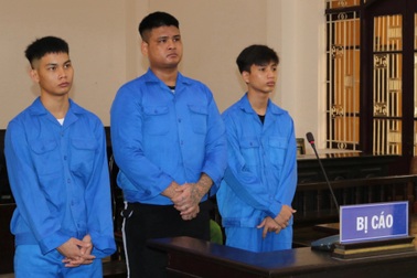 Ăn nhậu xong rồi mở tiệc ma túy tại nhà, 3 thanh niên lĩnh án