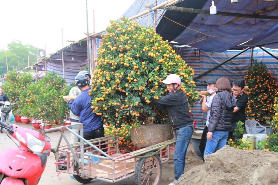 Người dân nô nức rước nàng xuân về nhà khi dịch Covid-19 được khống chế - 4 Người dân nô nức rước nàng xuân về nhà khi dịch Covid-19 được khống chế - 4