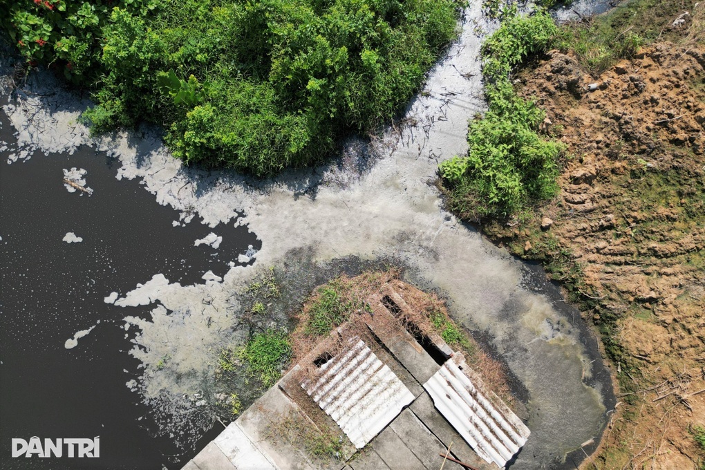 Dân kêu trời vì mùi hôi thối từ trại lợn ở Ninh Bình - 3 Dân kêu trời vì mùi hôi thối từ trại lợn ở Ninh Bình - 3