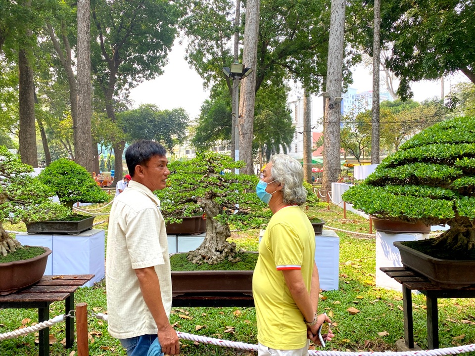 TP.HCM: Độc nhất vô nhị cây mai nở cùng lúc hai màu hoa trắng và vàng - 13 TP.HCM: Độc nhất vô nhị cây mai nở cùng lúc hai màu hoa trắng và vàng - 13