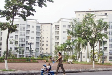 Bùng nổ nhà giá rẻ năm 2013