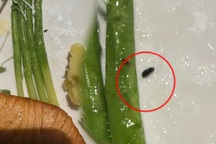 Khách phát hoảng tố phát hiện phân chuột khi ăn ở nhà hàng TPHCM?