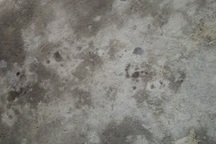 Hà Nội: Nữ chủ quán cà phê bị đâm nhiều nhát trong đêm