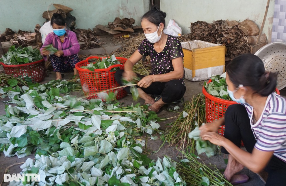Kiếm trăm nghìn khỏe re mỗi ngày từ thứ bánh đen như bóng đêm - 3 Kiếm trăm nghìn khỏe re mỗi ngày từ thứ bánh đen như bóng đêm - 3