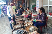 Không sử dụng một số loại hải sản: "Thôi cứ nhịn cho lành"