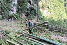 Khởi tố vụ án một hộ dân bị hàng xóm hủy hoại tài sản