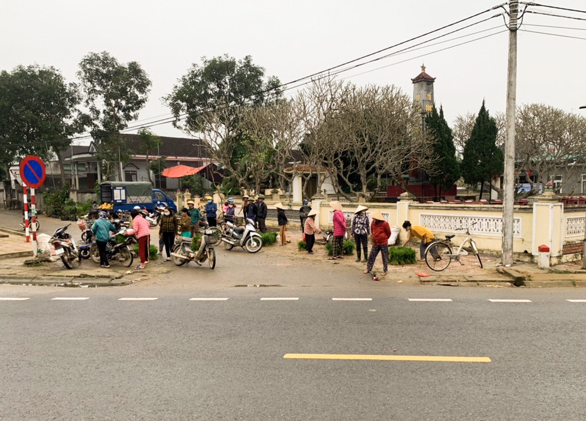 Nông dân hồ hởi nhổ lúa non bán, vớ bẫm - 1 Nông dân hồ hởi nhổ lúa non bán, vớ bẫm - 1