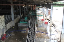 Phú Yên: Dân khổ sở bỏ nhà đi tránh mùi hôi khủng khiếp từ nhà máy cao su