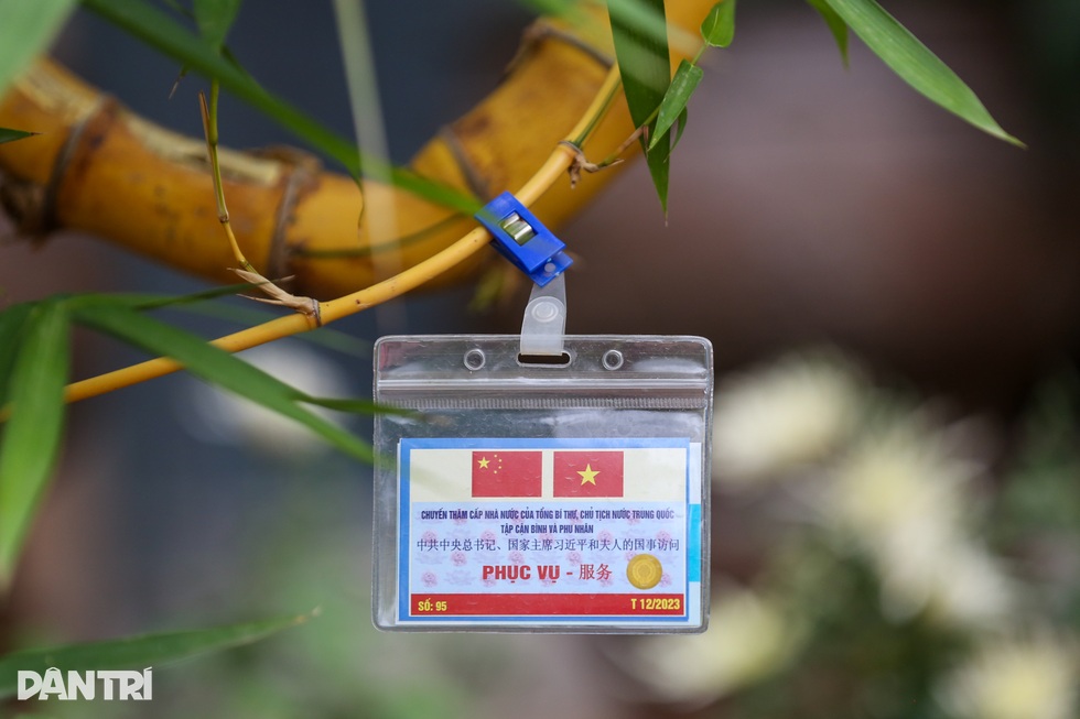 Gặp chủ nhân chậu tre bonsai đặt trong tiệc trà Tổng Bí thư - 2