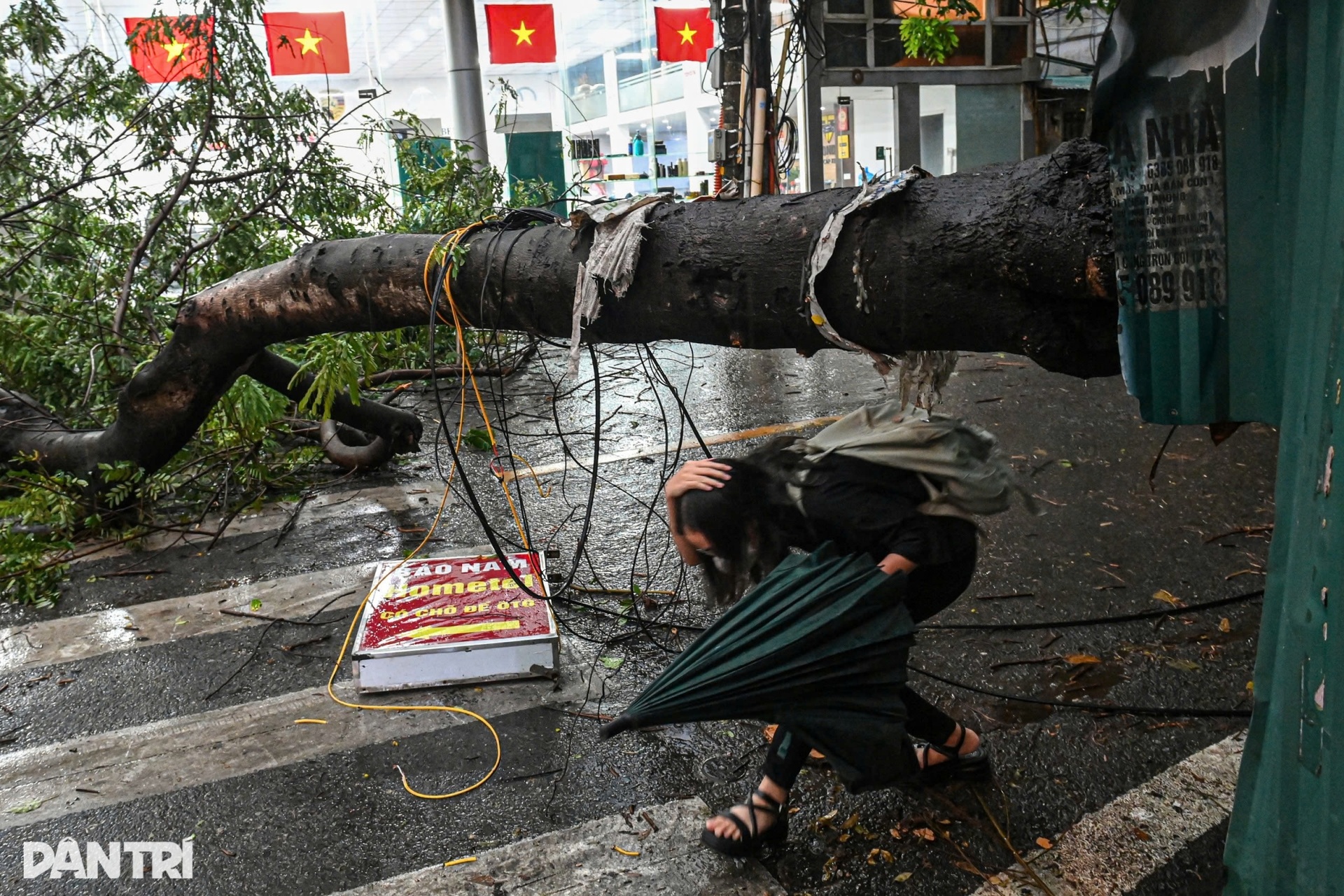 Nhà dân tốc mái, cây bật gốc đè nhiều xe sang trong cơn dông lớn ở Hà Nội - 3 Nhà dân tốc mái, cây bật gốc đè nhiều xe sang trong cơn dông lớn ở Hà Nội - 3
