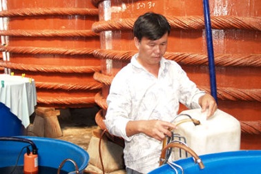 Hàng trăm triệu lít nước mắm Phú Quốc là hàng nhái