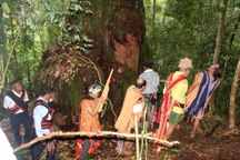 Giữ rừng dựa vào đồng bào Cơtu