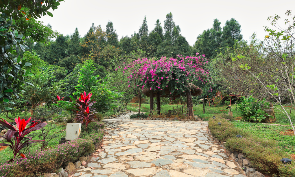 Đã mắt ngắm nhà vườn rộng 12.000m2 của ca sĩ Việt Hoàn - 5 Đã mắt ngắm nhà vườn rộng 12.000m2 của ca sĩ Việt Hoàn - 5