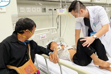 Cảnh báo ngộ độc thực phẩm do độc tố tự nhiên