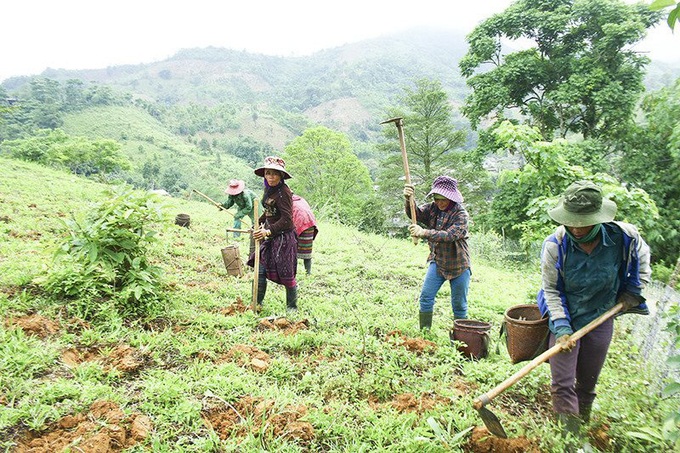 Hà Nội hỗ trợ 670 hộ đồng bào dân tộc thiểu số thoát nghèo - Ảnh 1.