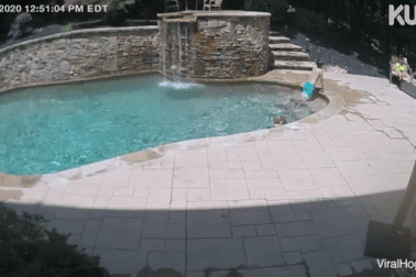 Người mẹ may mắn thoát chết kỳ diệu nhờ tiếng hét của con trai