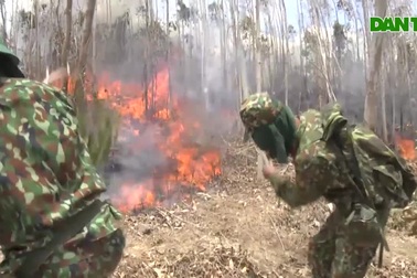Cháy rừng suốt 2 ngày ở Phú Yên, chưa thể khống chế