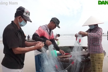 Ngư dân thu tiền triệu nhờ đánh lưới cước gần bờ