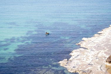 Tổ chức phản biện xã hội để làm rõ nghi vấn nhà máy giấy gây ô nhiễm biển