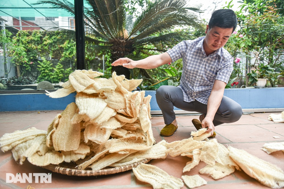 Giám đốc ngân hàng lương 1,2 tỷ bỏ nhà phố, ô tô về quê… trồng mướp - 15 Giám đốc ngân hàng lương 1,2 tỷ bỏ nhà phố, ô tô về quê… trồng mướp - 15