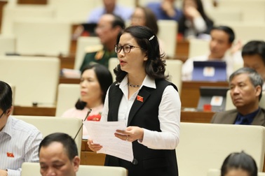 Luật Hòa giải, đối thoại tại tòa án sẽ tiết kiệm thời gian, chi phí