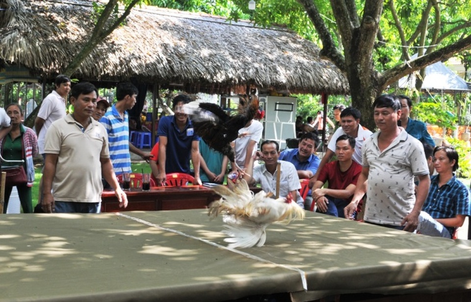 Đồng Tháp: Hội quán - nơi gắn kết nông dân phát triển xóm làng - 3 Đồng Tháp: Hội quán - nơi gắn kết nông dân phát triển xóm làng - 3