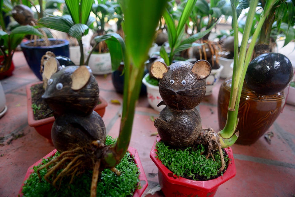 Bonsai hình chuột.jpg Bonsai hình chuột.jpg