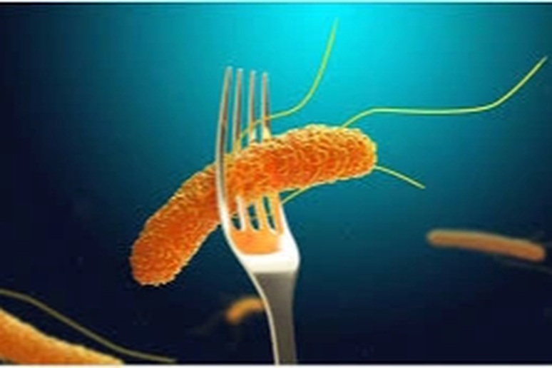 4 món ăn nhiễm khuẩn Salmonella khiến 80 sinh viên ở Lào Cai ngộ độc