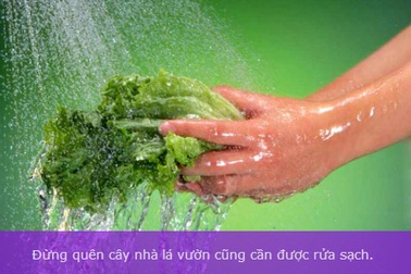 Cách rửa rau củ, quả an toàn nhất