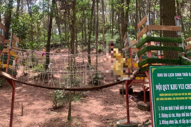 5 năm đi trải nghiệm 5 lần tại cùng một nơi, học sinh "thu hoạch" được gì?