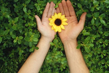 Thử bàn về các yếu tố làm nên giá trị cuộc sống 