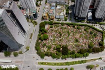 Đất cho trường học, cây xanh ở Hà Nội bị quy hoạch vào nơi có nghĩa trang