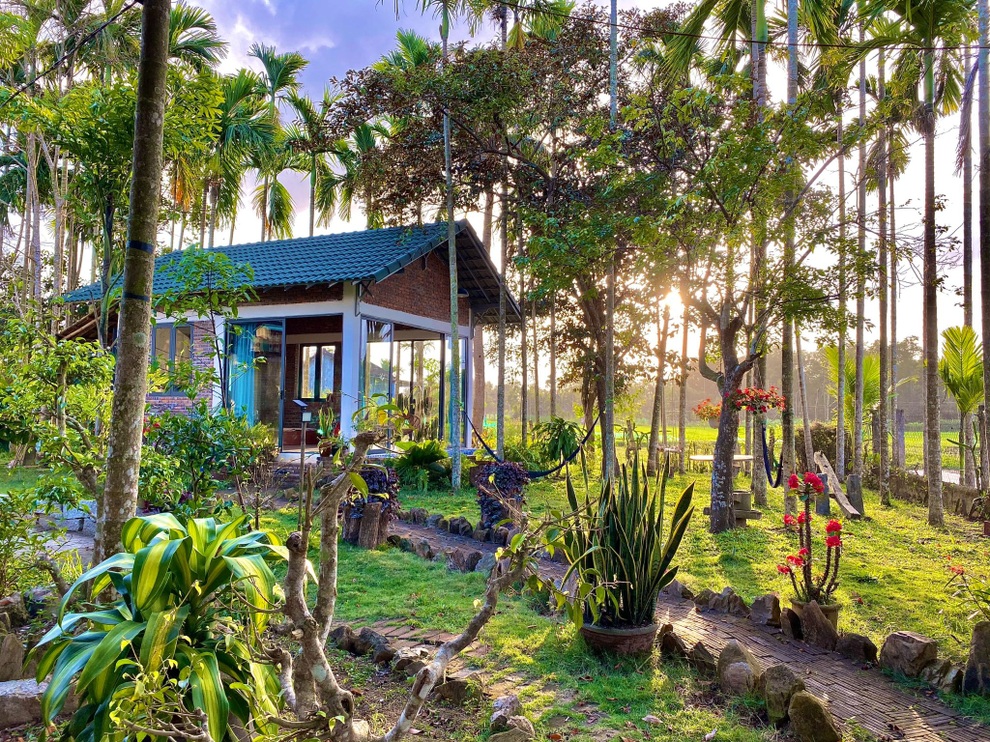 Ngôi nhà xanh mát với ao bạt ngàn sen của chàng kỹ sư - 5