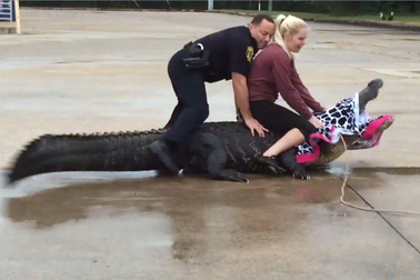 Nghề “đánh vật” với cá sấu, kiếm 1,4 tỷ đồng/năm