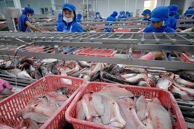 Tham tán phải đập bàn đòi tiền cho doanh nghiệp