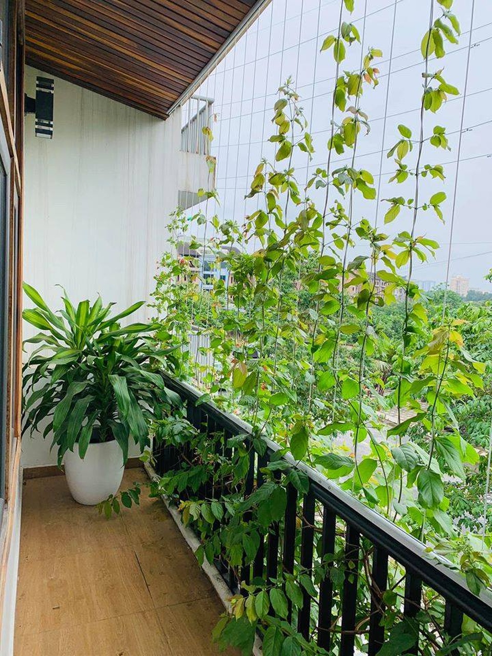 Biệt thự đẹp như trời Âu, bên trong toàn gỗ cao cấp của gia đình ở Hà Nội - 14