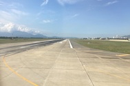 Cả đàn trâu nhởn nhơ gặm cỏ ở khu đường lăn sân bay Cát Bi