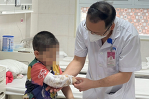 Hai con chó béc-giê tấn công, bé trai 3 tuổi bị vỡ thận, chấn thương bụng