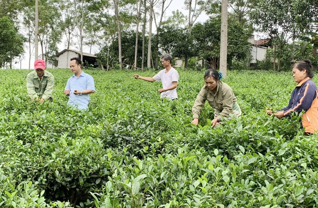 Hà Nội “về đích” sớm trong thực hiện mục tiêu giảm nghèo - 1 Hà Nội “về đích” sớm trong thực hiện mục tiêu giảm nghèo - 1