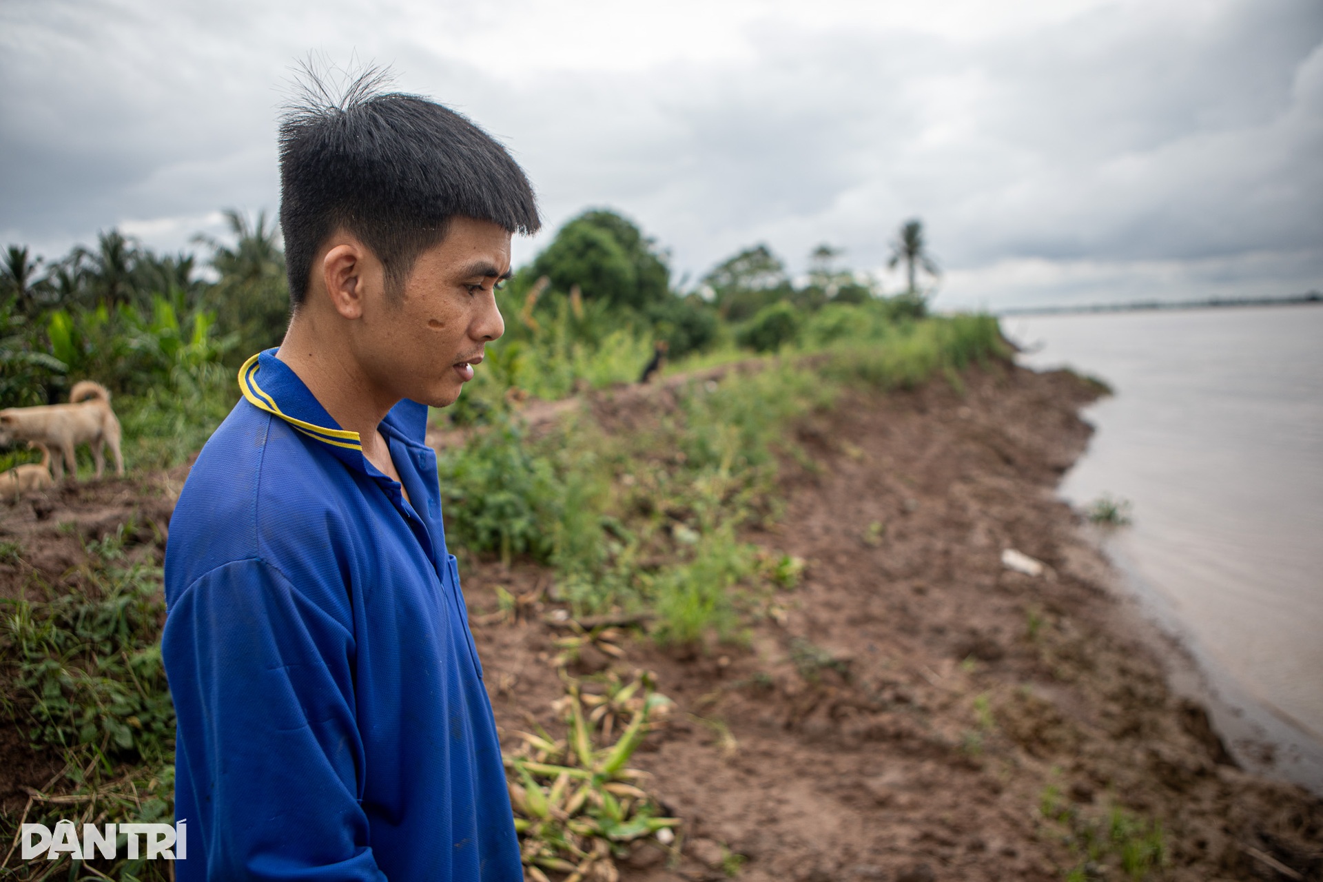 Nhiều nhà ven sông ở miền Tây bị nhấn chìm do sạt lở - 11 Nhiều nhà ven sông ở miền Tây bị nhấn chìm do sạt lở - 11