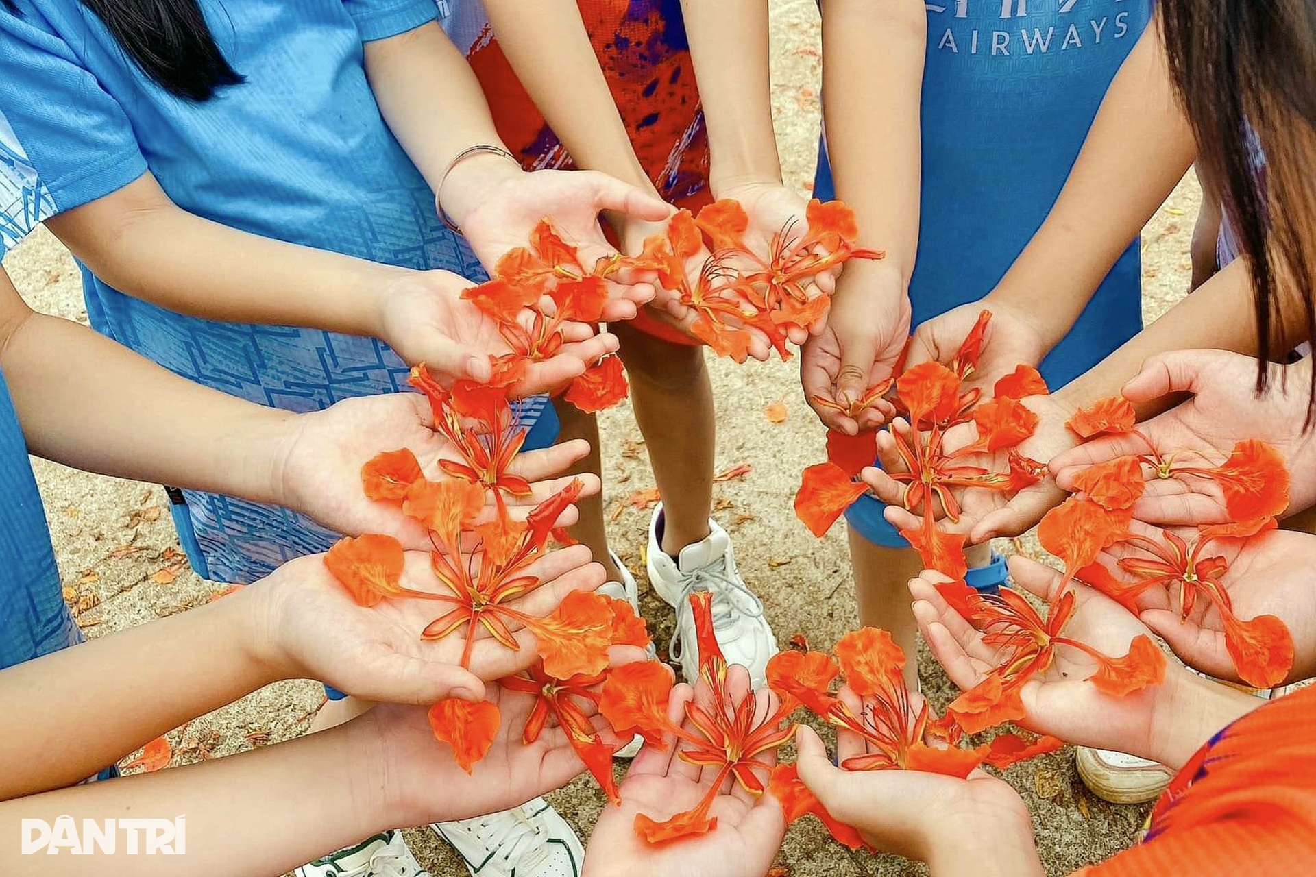 Hoa phượng nhuộm đỏ sân trường ở phố núi Gia Lai - 9