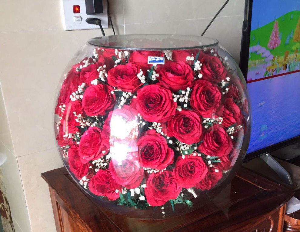 50 tuổi mới khởi nghiệp vẫn kiếm tiền tỷ mỗi năm nhờ hoa bất tử - 2 50 tuổi mới khởi nghiệp vẫn kiếm tiền tỷ mỗi năm nhờ hoa bất tử - 2