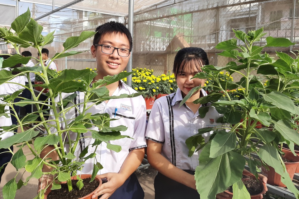 Học tập theo dự án STEM, Tết này em có hoa trưng Tết do chính mình trồng! - 3 Học tập theo dự án STEM, Tết này em có hoa trưng Tết do chính mình trồng! - 3