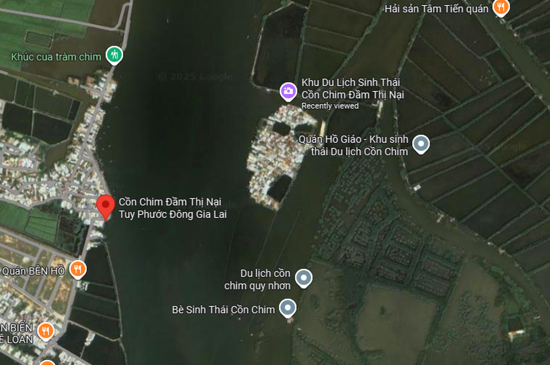 “Lá phổi xanh” giữa đầm Thị Nại xơ xác sau bão Kalmaegi - 9