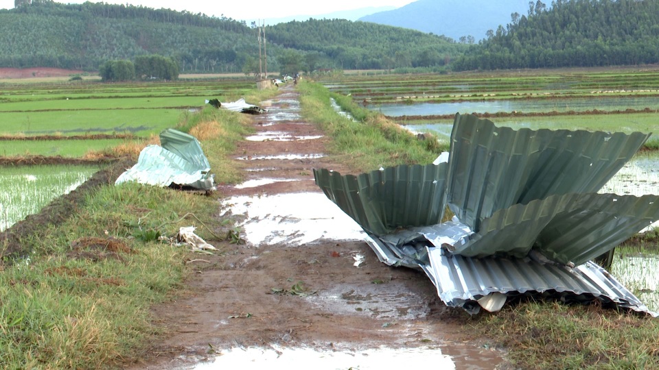 Lốc xoáy làm 80 ngôi nhà tốc mái, hàng chục ngàn hộ dân mất điện - 4