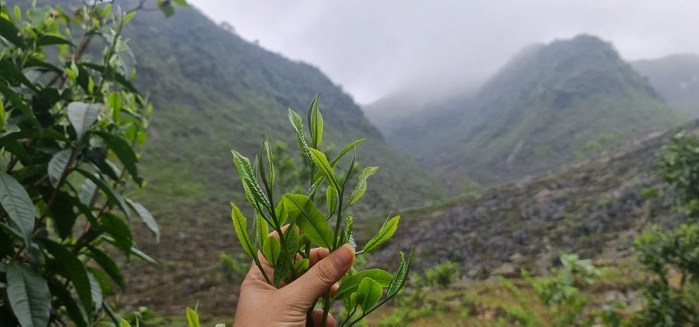 Từ cánh hoa hồng, cô gái Quảng Trị khởi nghiệp thành công nơi đất khách - 8 Từ cánh hoa hồng, cô gái Quảng Trị khởi nghiệp thành công nơi đất khách - 8