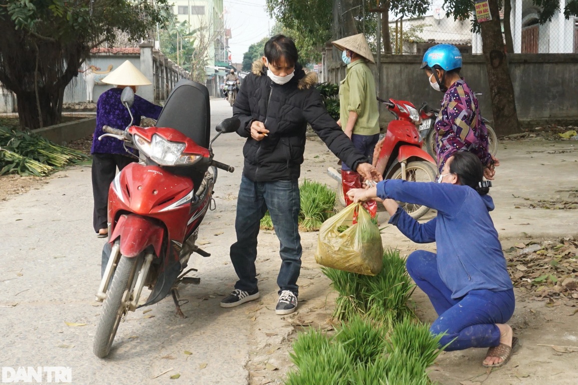 Nhổ lúa non bán như rau, nông dân bỏ túi cả trăm ngàn đồng mỗi ngày - 9 Nhổ lúa non bán như rau, nông dân bỏ túi cả trăm ngàn đồng mỗi ngày - 9