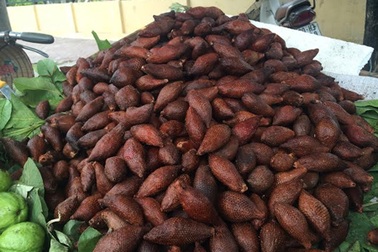 Quả lạ đầy gai: Dân Hà thành rủ nhau ăn thử