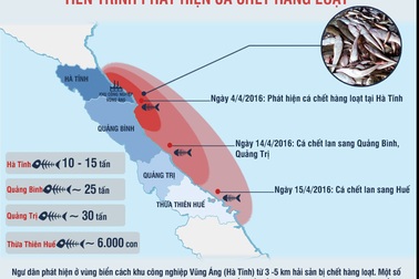 Toàn cảnh vụ cá chết hàng loạt tại biển miền Trung
