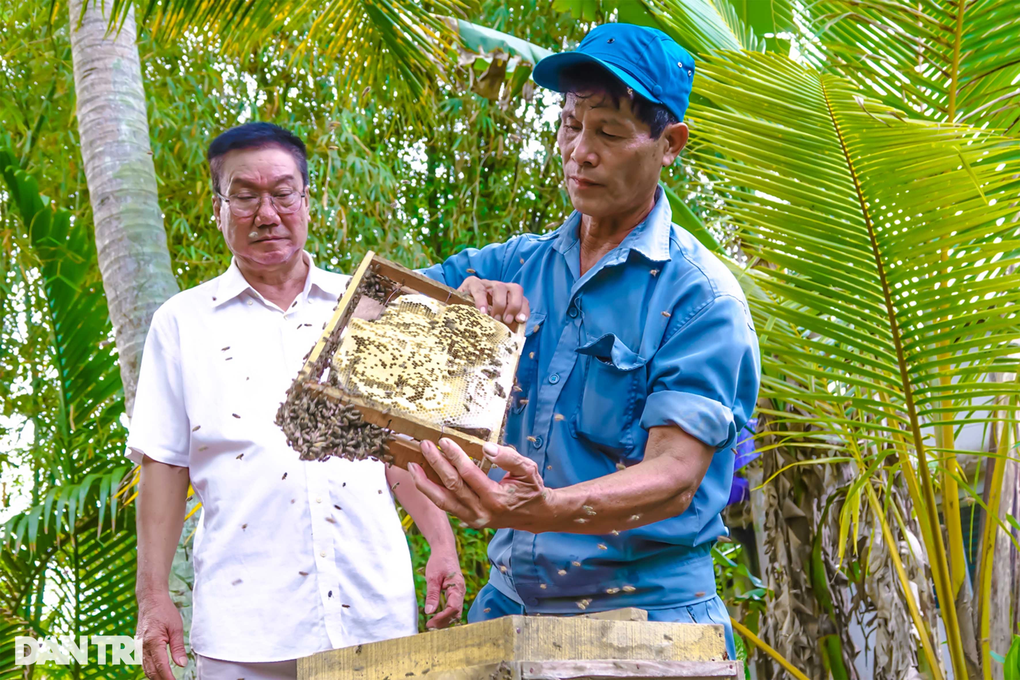 Ông thợ dị nhân vốc ong bỏ đầy miệng mà không sợ bị đốt - 3 Ông thợ dị nhân vốc ong bỏ đầy miệng mà không sợ bị đốt - 3